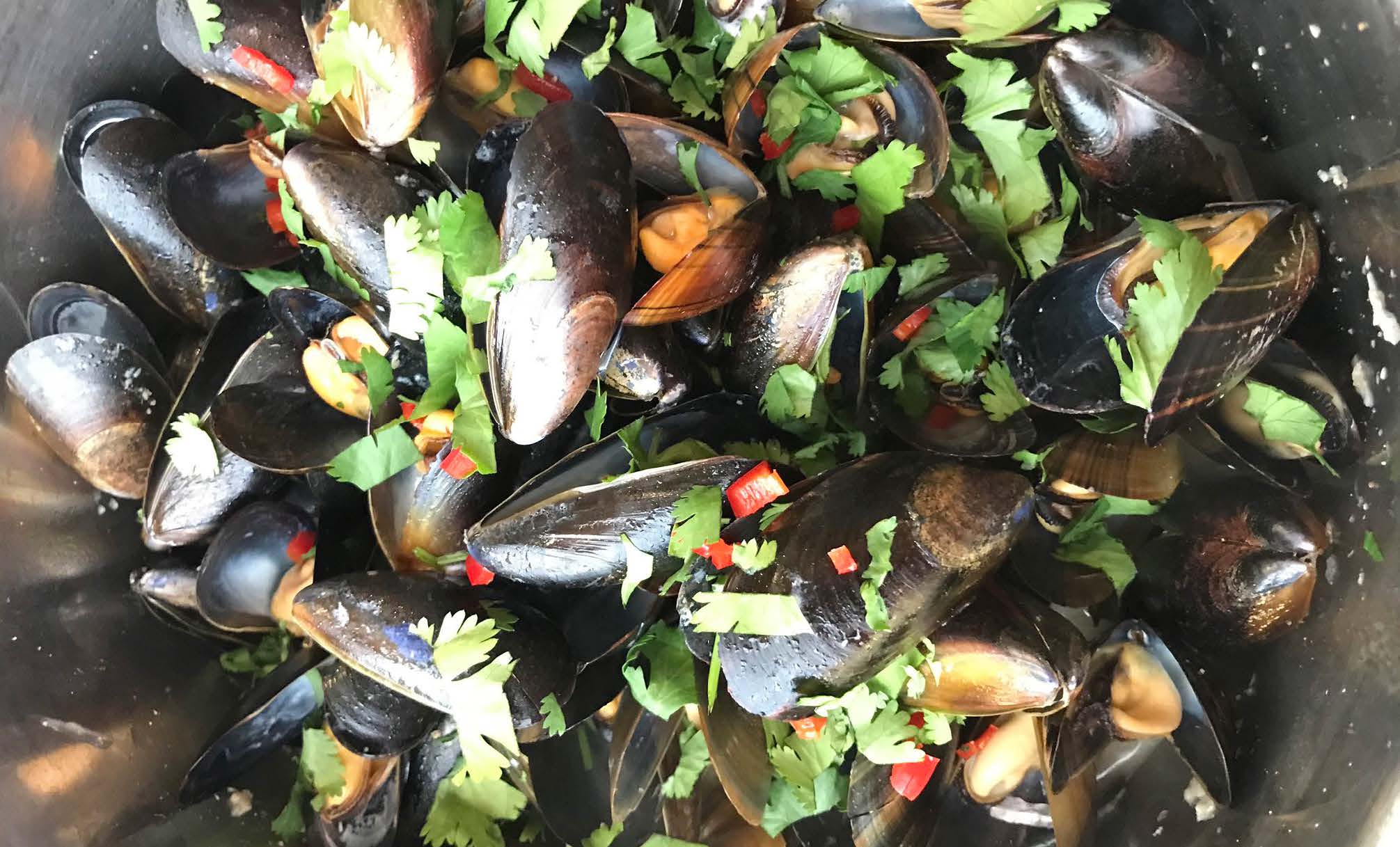 Steph's Thai Mussels